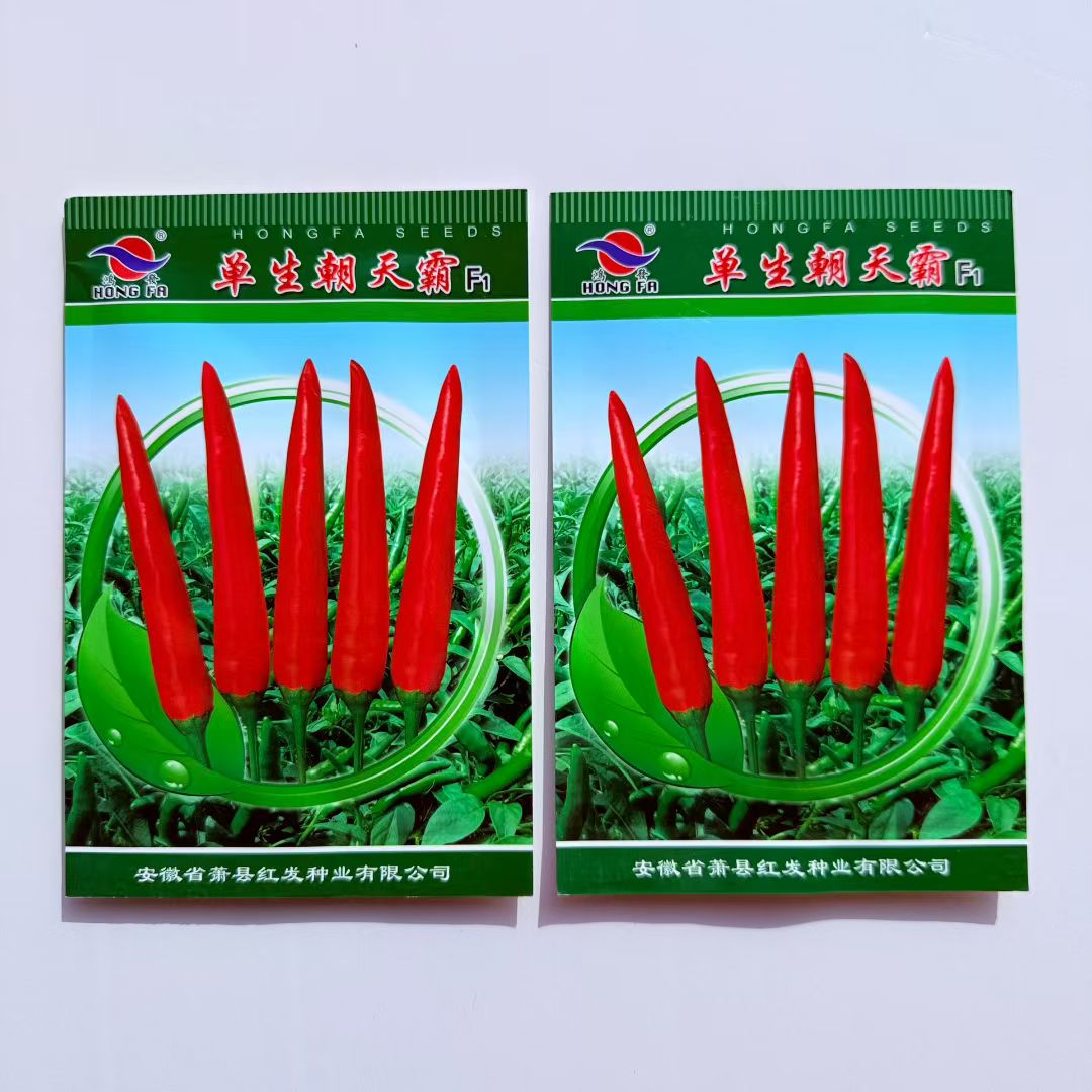 单生朝天霸单生辣椒种子中熟耐热耐湿单生型青红两用辣椒种子米椒