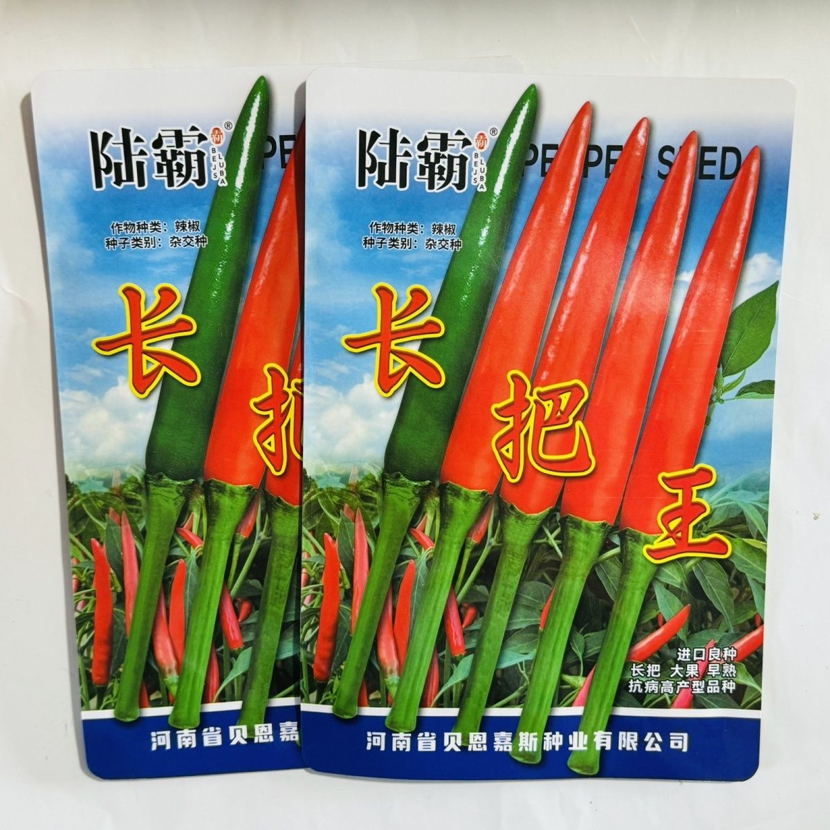 长把王大果朝天椒种子硬果抗病中早熟辣椒种籽高抗炭蛆烂果病