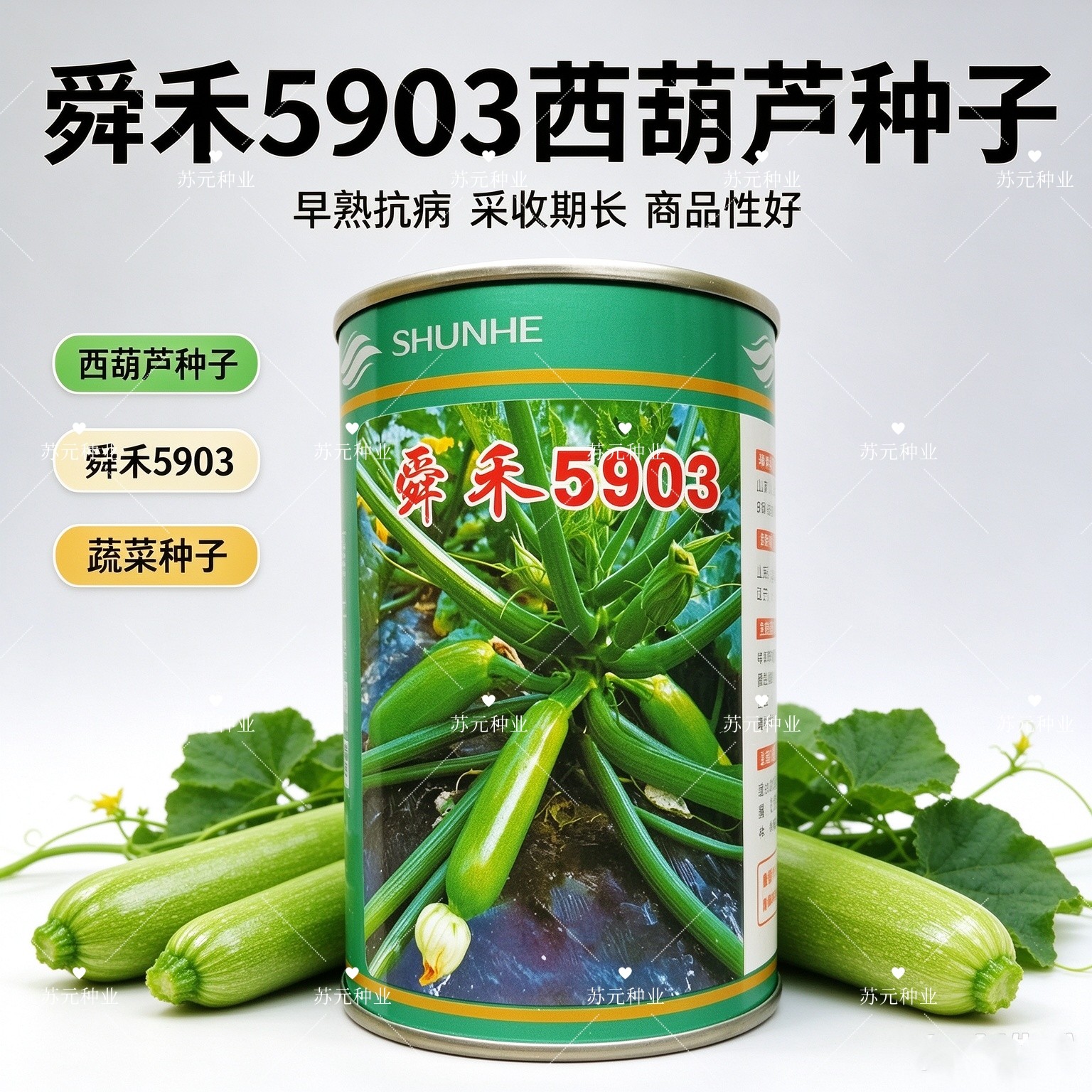 舜禾5903 西葫芦种子 油绿顺直高产耐热抗病商品性佳 农家春季播