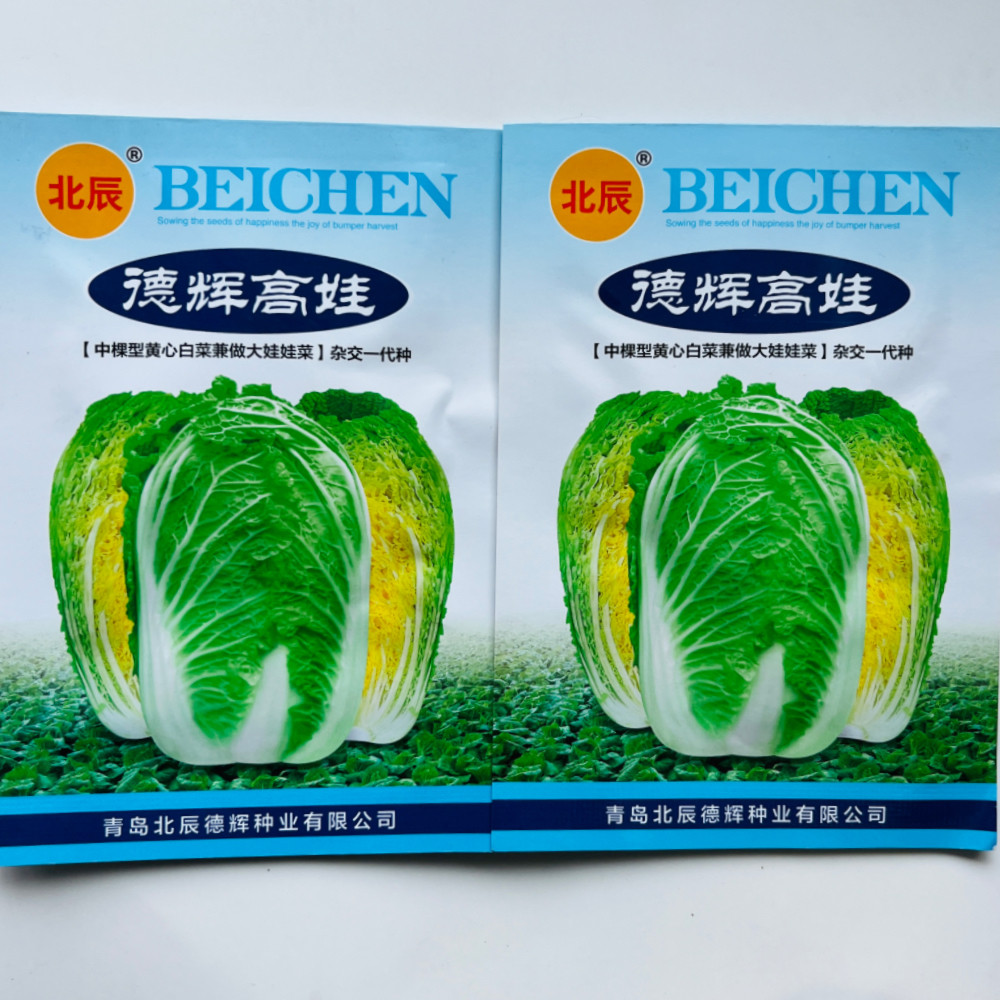 高娃大白菜种子耐热耐湿抗病高产南北方农家秋季播种大白菜种