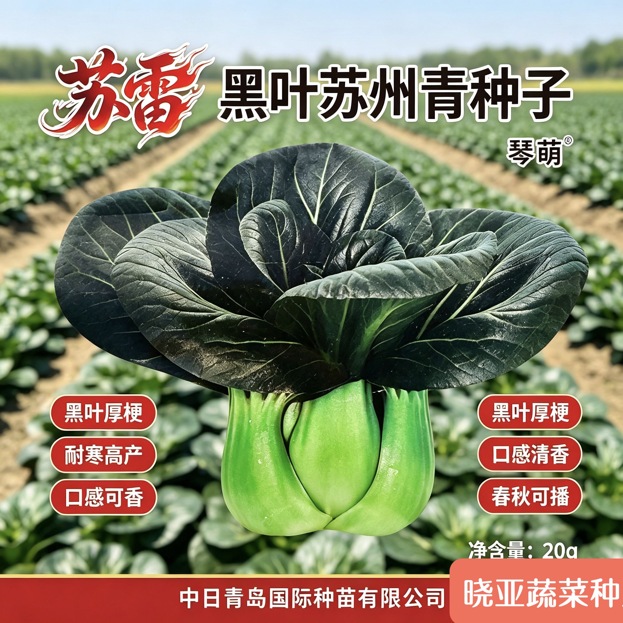 苏雷杂交甜糯苏州青种籽耐热耐寒大头束腰青菜种子秋播矮桩青梗菜