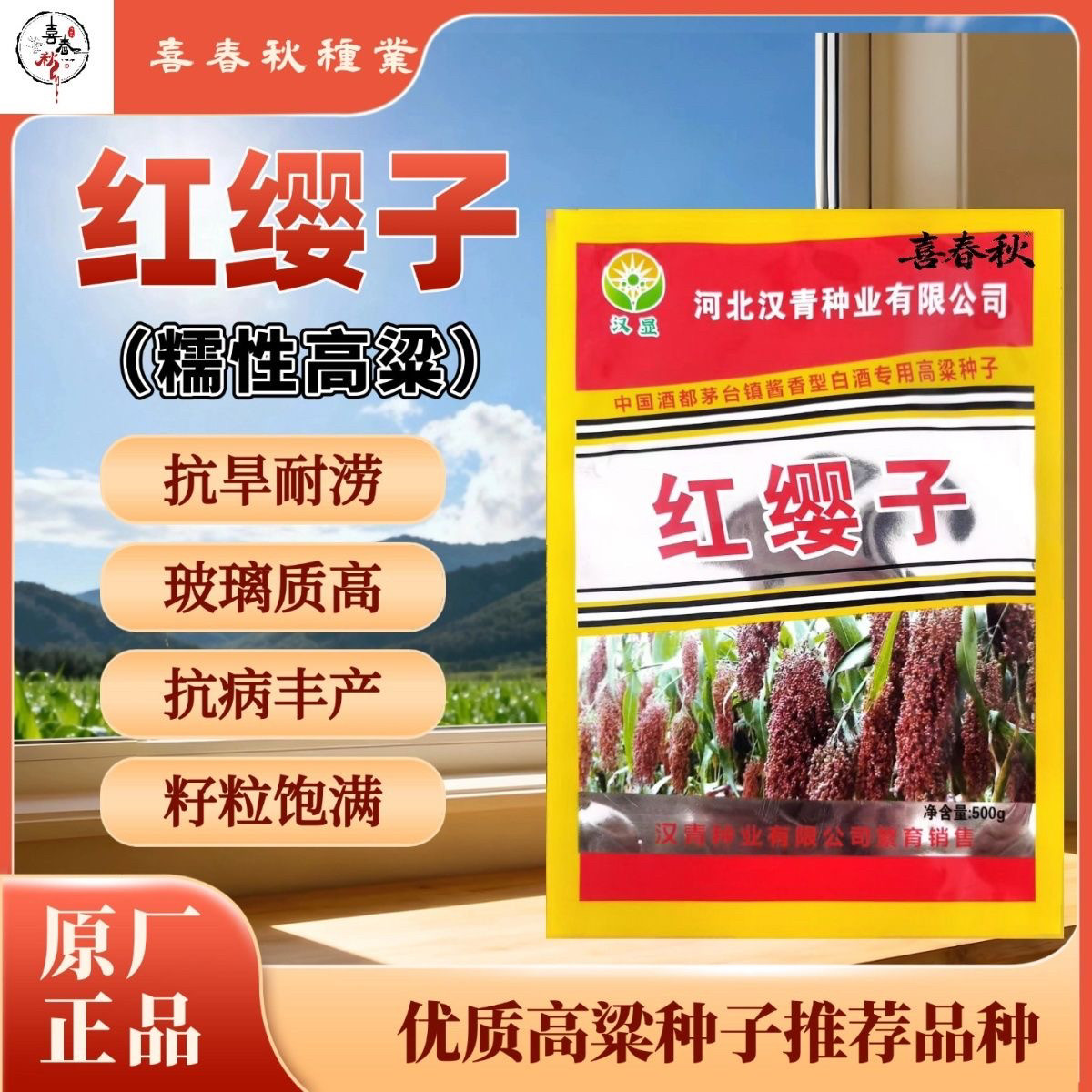 红缨子矮杆高粱种子种籽孑抗四酿酒种了高产红糯早熟抗旱五谷杂粮