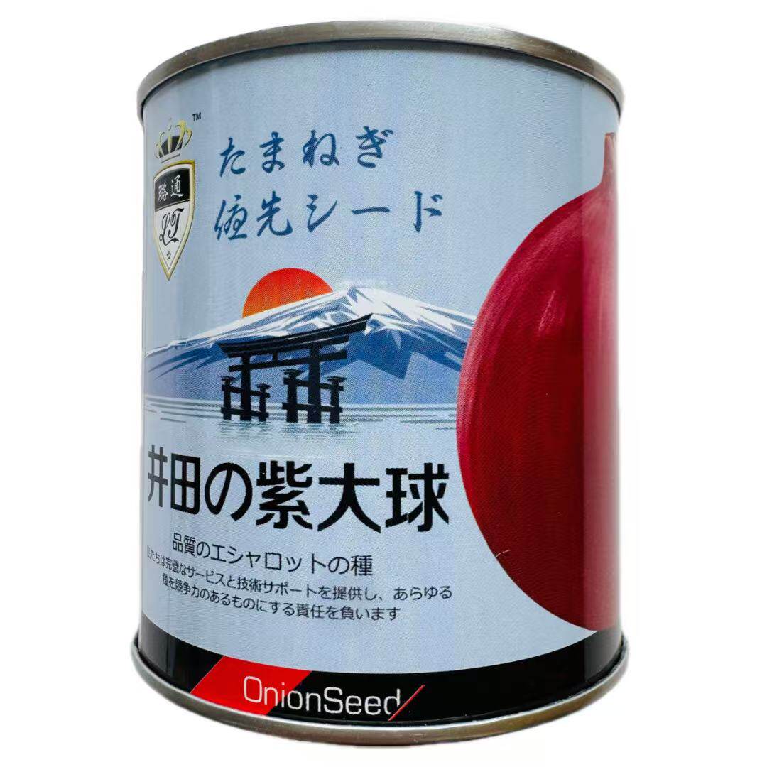 井田紫大球紫红皮洋葱种子特大秋季盆栽葱种圆葱扁圆紫色蔬菜种籽