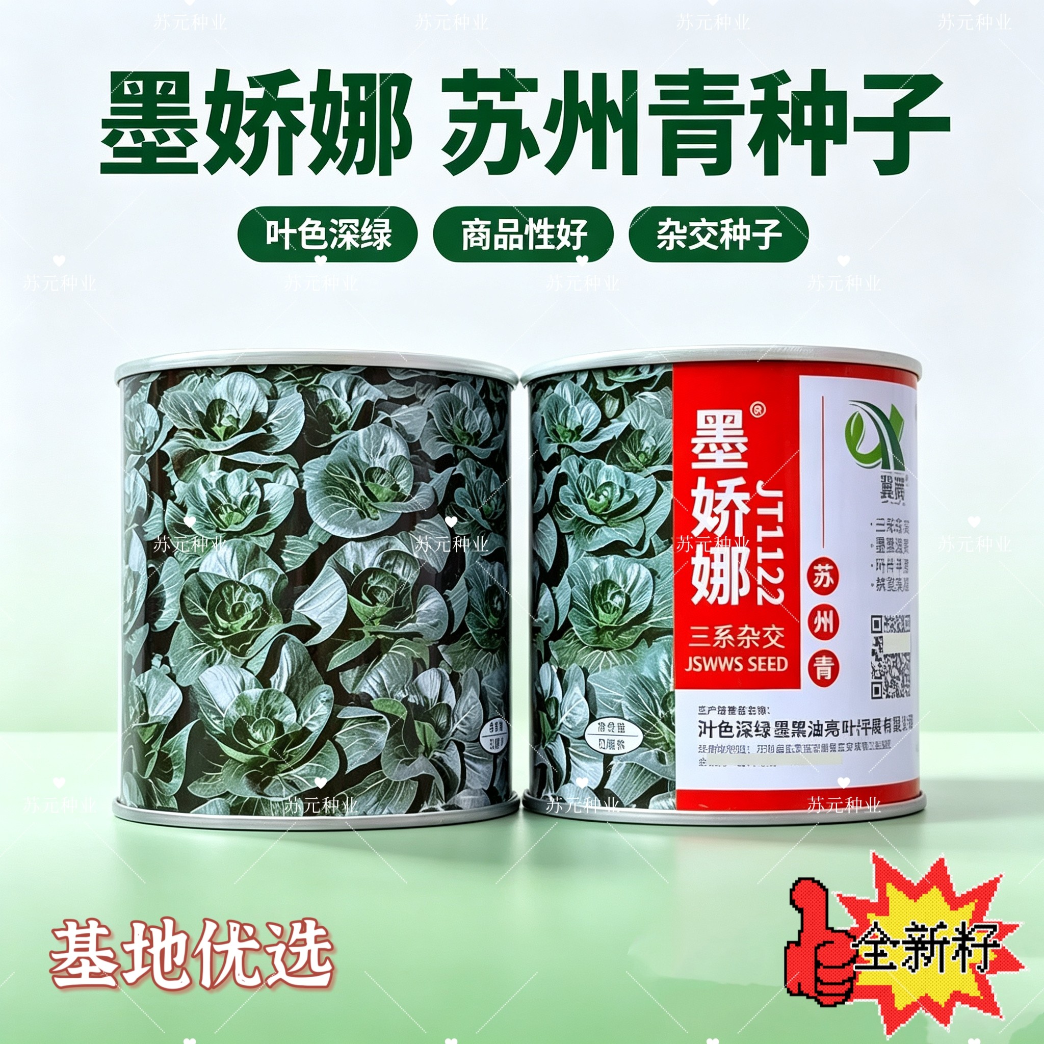墨娇娜三系杂交矮脚苏州青大头束腰青菜种子耐寒青梗菜春秋播种籽