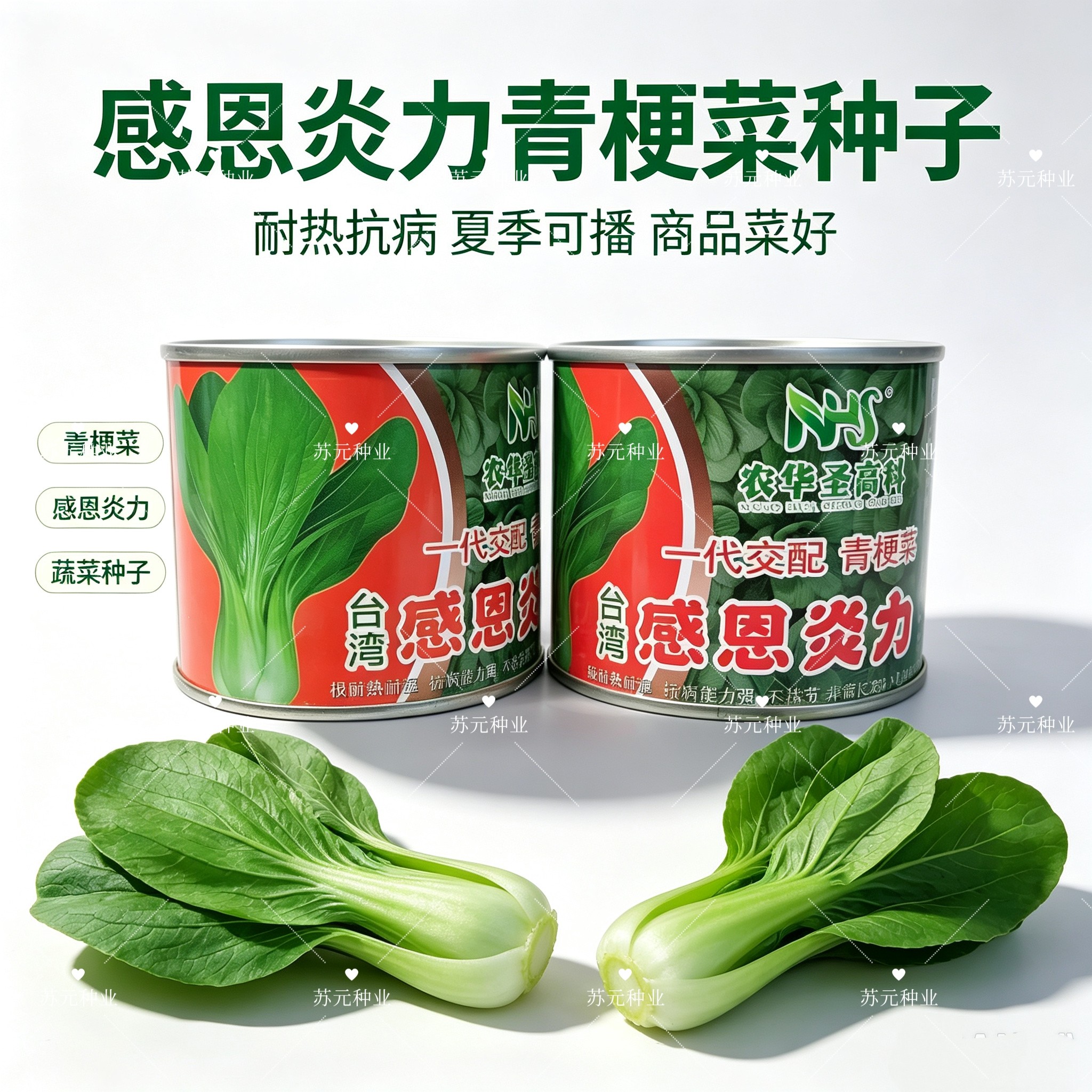 感恩炎力青梗菜种子亮绿速生抗热抗病农家春夏秋播种优选青菜种籽