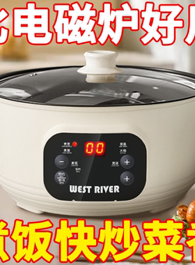 德国双胆全自动电饭煲多功能电饭锅鸳鸯电热火锅电煮锅蒸煮不粘锅