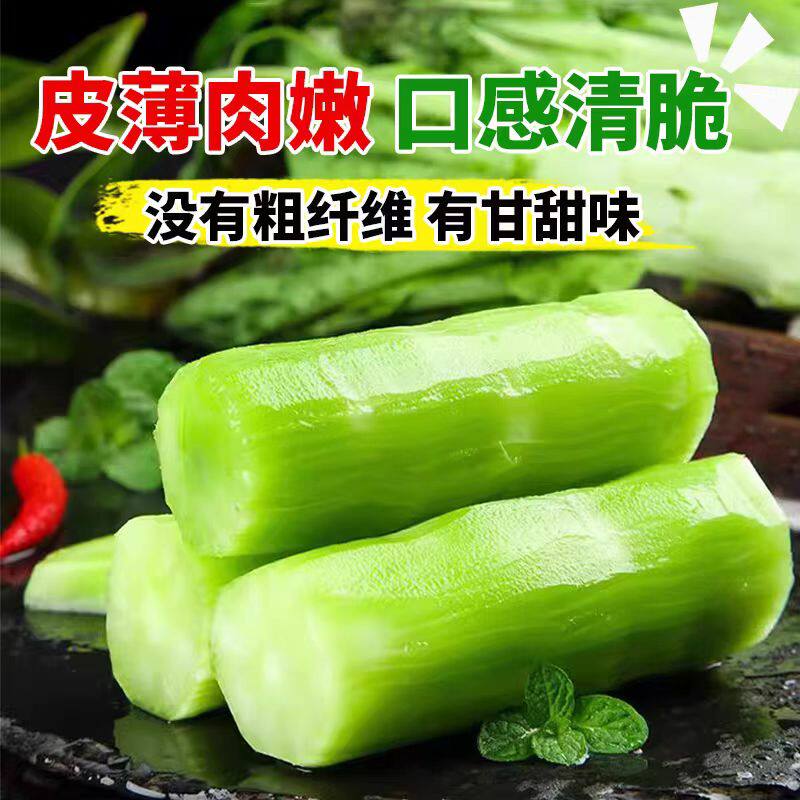 2包方震四季播青皮莴笋种子