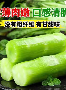 2包方震四季播种青皮莴笋种子皮薄肉嫩口感清脆绿色蔬菜种子新手
