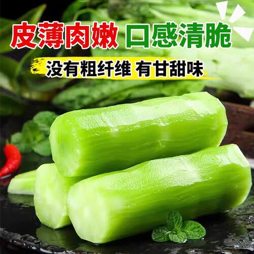 2包方震四季播青皮莴笋种子易种