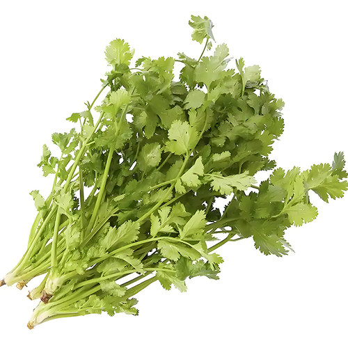 2包香菜种子四季美味大叶香菜籽