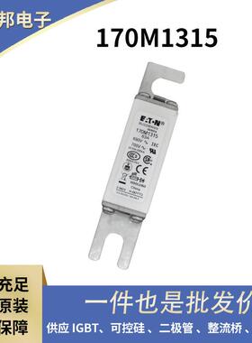 BUSSMANN巴斯曼保险丝高压熔断器170M1315170M1316170M1317