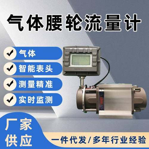 供应气体腰轮（罗茨）流量计自主生产价格优惠