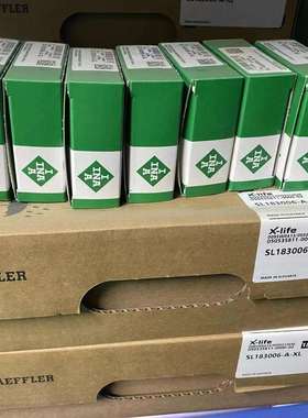 INA轴承德国SL183006-A-XL SL04020-D-PP-2NR SL185011-A 185017