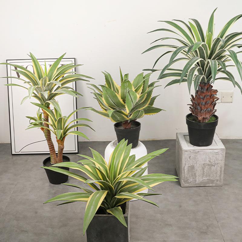手感软胶材料金边龙舌兰白边黄冠兰仿真植物造景绿植剑麻剑兰盆