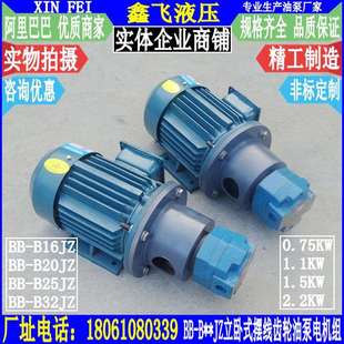 B32JZ立卧式 B25JZ B20JZ 摆线齿轮油泵电机组 B16JZ