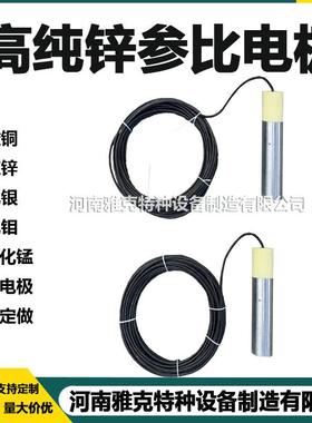 CPMS阴极保护监测系统 高纯锌参比电极 Ag/Agcl复合型参比电极