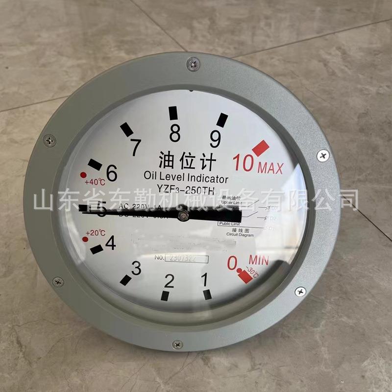 电力变压器油位计 变压器配件 YZF2 YZF3-175-TH油枕油位计