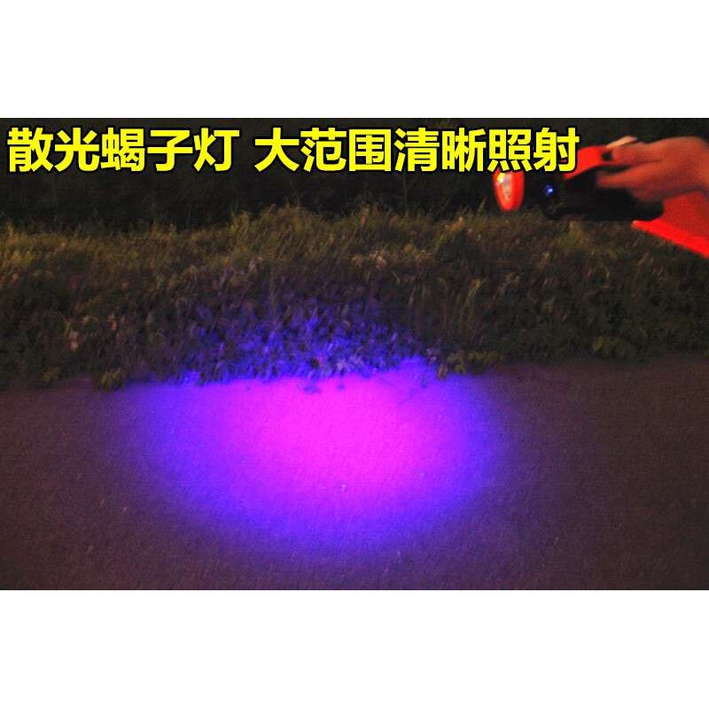 超亮折叠式蝎子灯养殖专用紫光手电筒蝎子用豆虫强光充电手提紫光