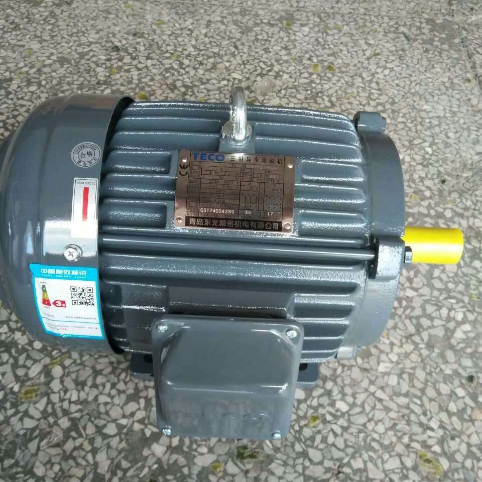 东元电机TEGH100L1-4 3HP 2.2KW 1455r/min 220V/380V AEEFF3