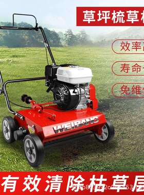 维邦疏草机WB384RB草坪疏草机园林绿化草坪专用梳草除枯草维护机