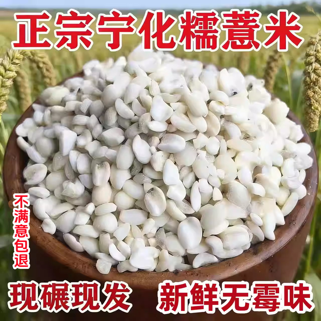 福建宁化糯薏米2025年新米农家薏米仁新货薏仁米去湿官方旗舰店
