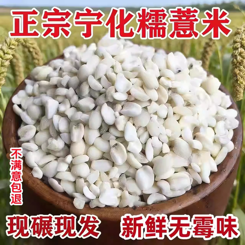福建宁化糯薏米新货新米1000g