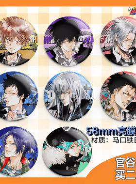 家庭教师 仿文库吧唧 沢田纲吉云雀恭弥Reborn狱寺隼人马口铁徽章