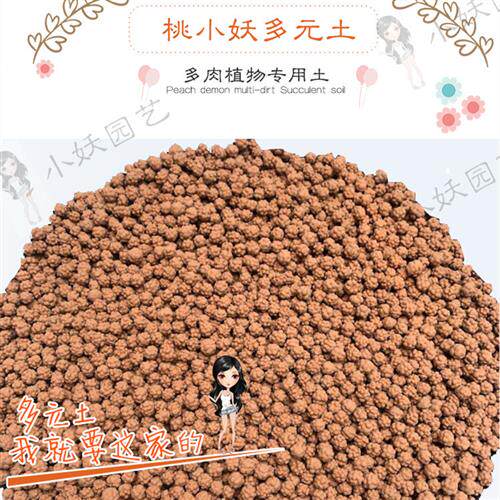 桃小妖球球土多元土活力土多肉种植铺面纯颗粒发根多元素营养拌土 - 封面