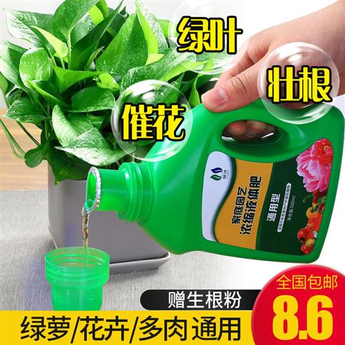 绿萝营养液花肥料盆栽通用型家用水培植物富贵竹花卉养花发财树肥