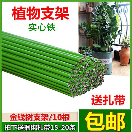 734园艺支架粗细绿铁线植物爬藤支架种菜支柱兰花金钱树园艺花架
