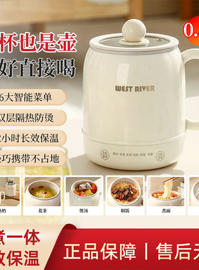 智能电煮杯陶瓷釉电炖杯多功能电热杯办公室小电饭煲保温杯炖煮焖