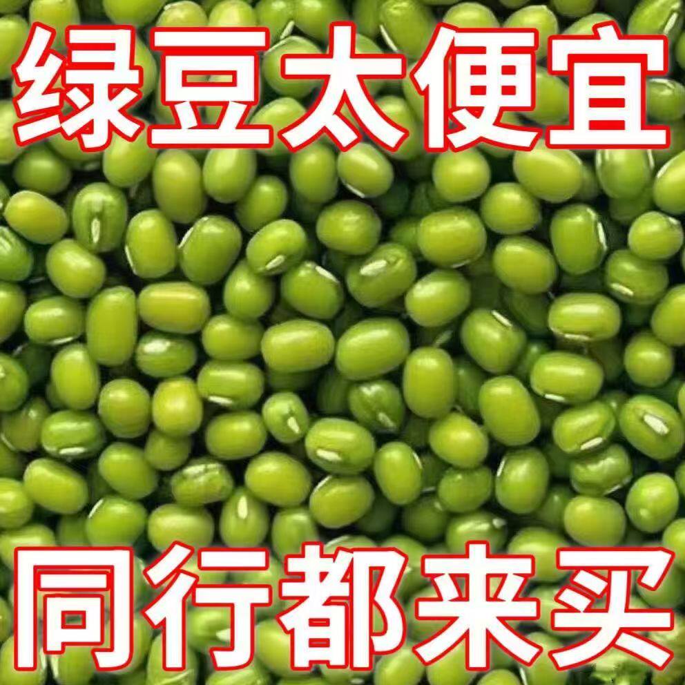 新绿豆特级农家自种新能发豆芽的绿豆粥煮汤农家自种绿豆汤