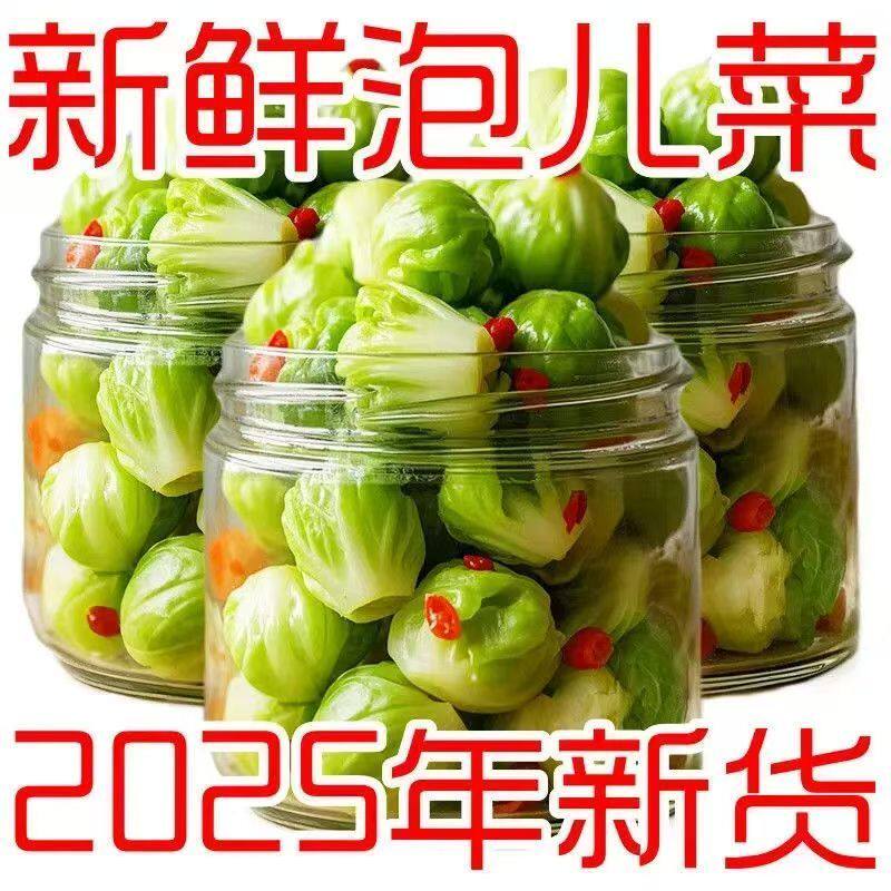 四川特产泡菜儿菜腌制下饭菜大头菜爽口开味脆嫩小菜芥菜咸菜泡菜