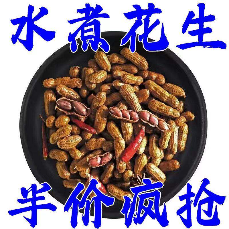 五香水煮花生麻辣带壳湿花生保鲜卤味下酒菜卤汁花生米烧烤小零食