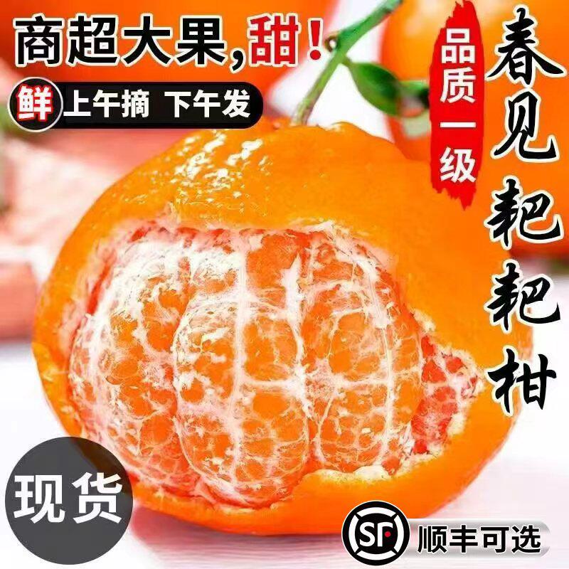 【彩箱】春见耙耙柑粑粑柑四川橘子当季新鲜孕妇水果丑桔橘柑八怪,水产肉类/新鲜蔬果/熟食,桔子,淘宝优惠券,粉丝福利购,淘宝优惠卷