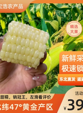 25年新鲜白糯玉米，黄金产区北纬47，无添加玉米1盒8根装 代餐