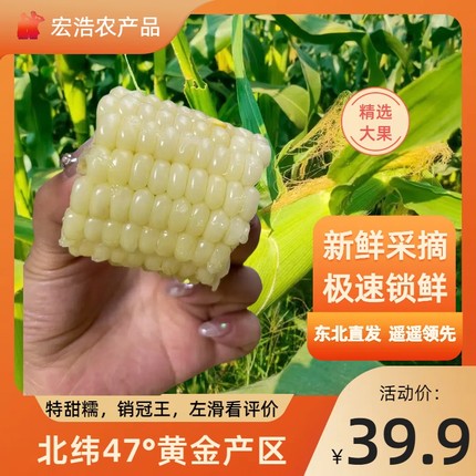 25年新鲜白糯玉米，黄金产区北纬47，无添加玉米1盒8根装 代餐