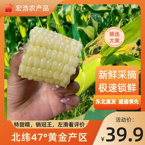 巨好吃东北甜糯玉米不好吃包退