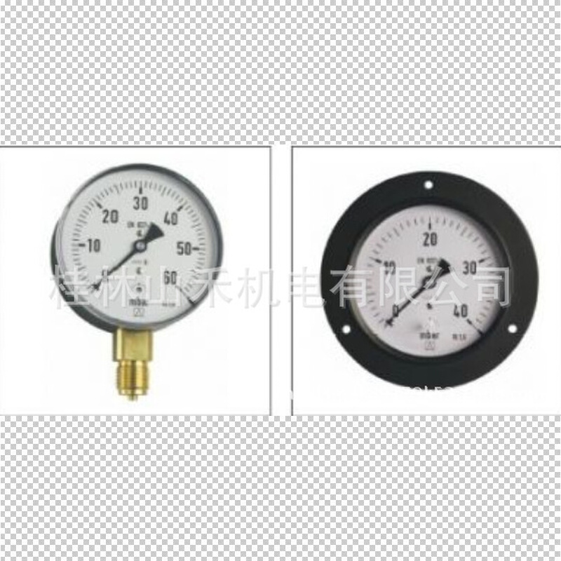 菲索AFRISO普通型膜盒压力表EN873-3