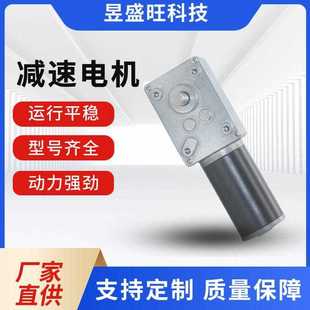 自锁涡轮调速电机 31ZY直流电机 24V微型直流电机5840