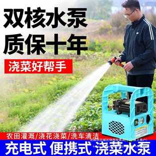 抽水泵小型锂电动自吸12V户外农田农用浇菜灌溉水泵 家用充电式