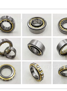 SL04 18-5 0 0 1 1 2 6 8 PP NNF5 0  1 2 6 8 0 ADA-2LS C V轴承