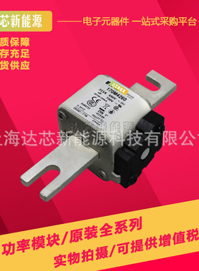 170M4243 170M4244 170M4245 170M4246 170M4247全新巴斯曼熔断器