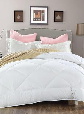 新款磨毛压花简约纯色春秋冬被保暖羽丝绵被芯多规格学生被