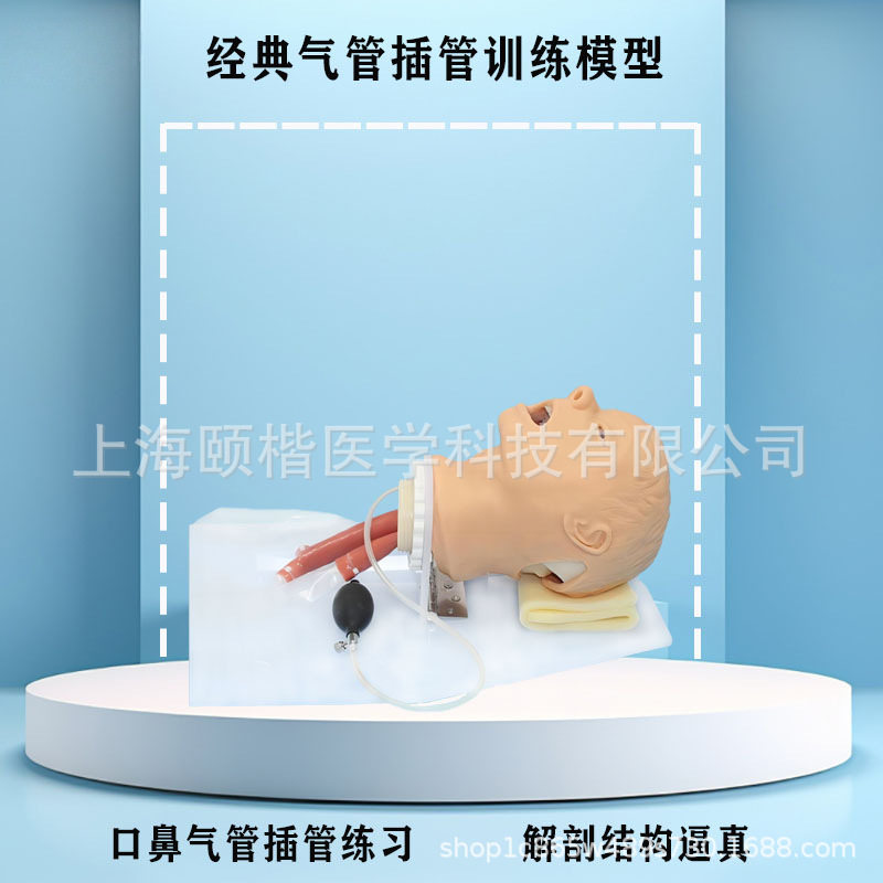 经典气管插管气道管理急救模型
