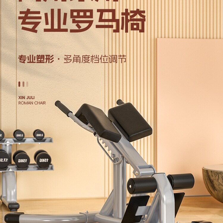 罗马椅山羊挺身器腰背腹训练