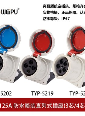 威浦TYP5202-5219-5224工业插暗装插座125A3P4芯5防水IP67连接器
