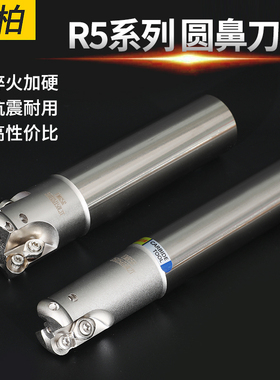 EMR圆鼻铣刀杆R5数控加工中心牛鼻立铣刀1003