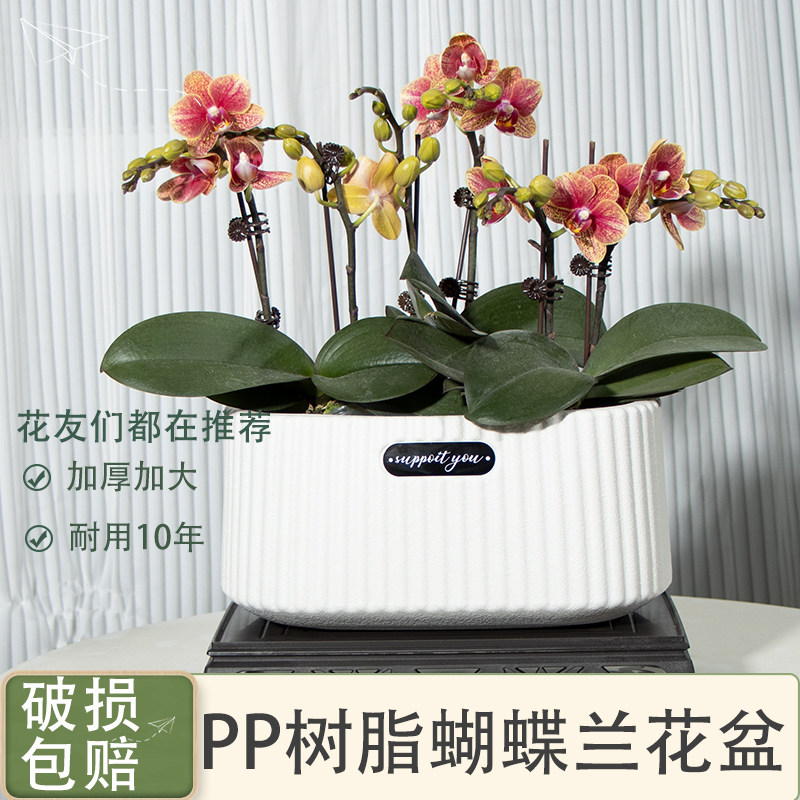 室内简约花盆家用树脂加厚盆栽发财树蝴蝶兰郁金香专用盆塑料花盆,鲜花速递/花卉仿真/绿植园艺,花盆,淘宝优惠券,粉丝福利购,淘宝优惠卷