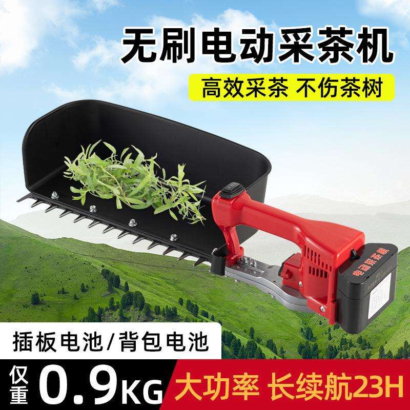 新款无刷电动采茶机 单人小型茶树修剪机手提式 便携茶园采摘机